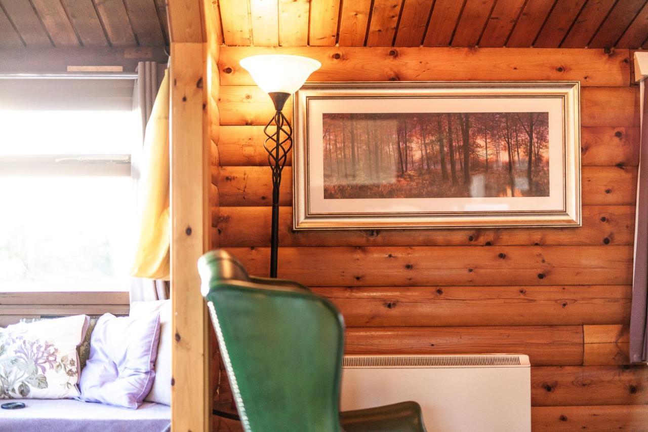 Log Cabin Nestled In The Mountains Of Snowdonia By Seren Property Trawsfynydd Luaran gambar